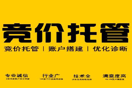 SEM代理实战：案例解析，效果惊人